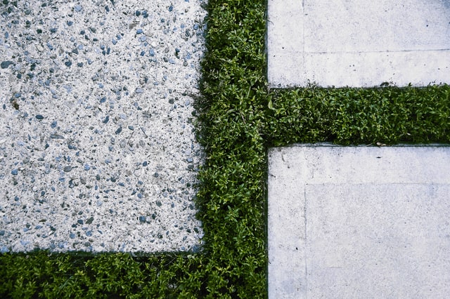 駐車場スリットをおしゃれに埋める植物6選！スリットの費用もご紹介